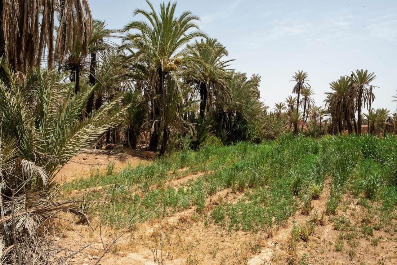 Maison Etoile Du Desert Aït Boukha Buitenkant foto