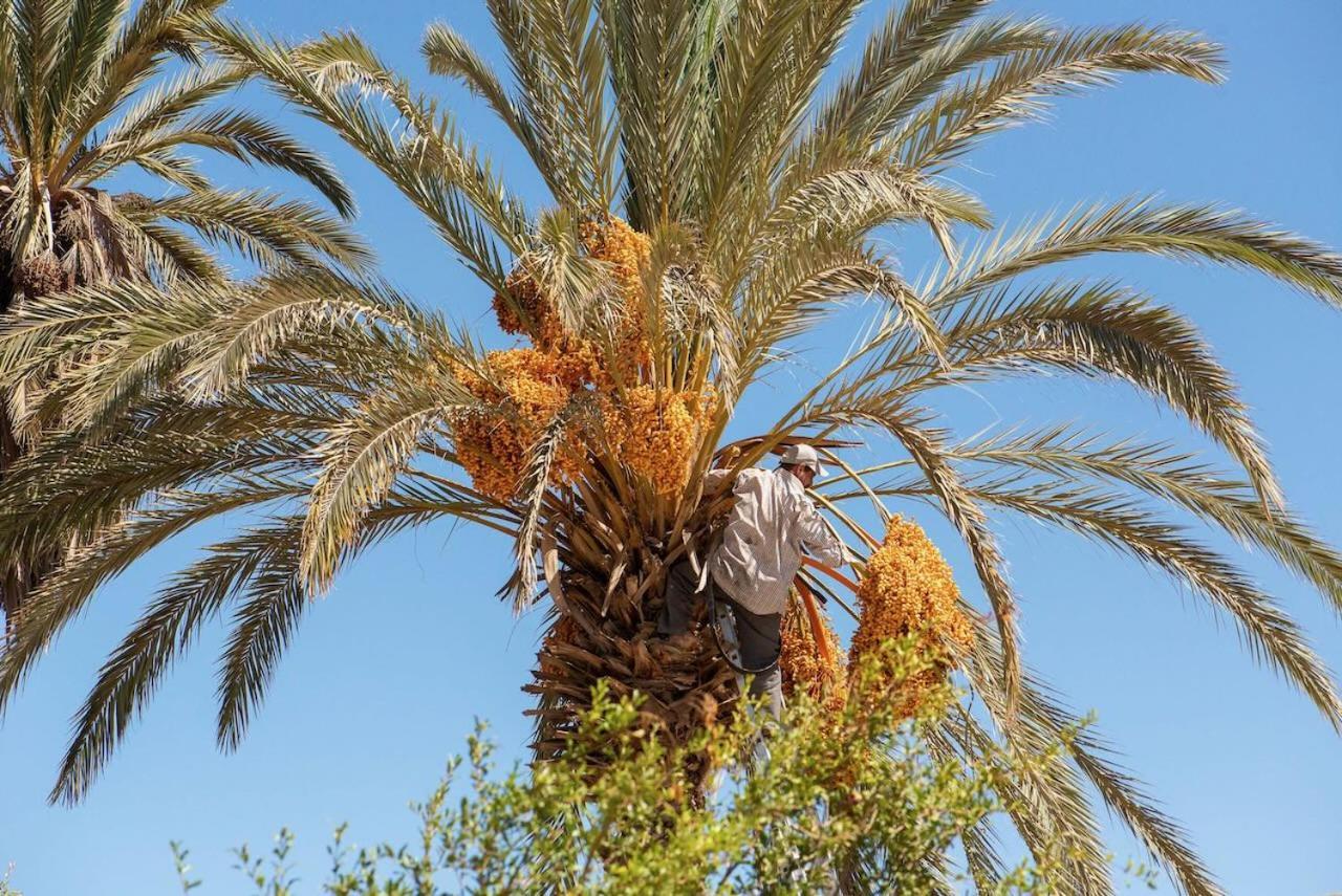Maison Etoile Du Desert Aït Boukha Buitenkant foto