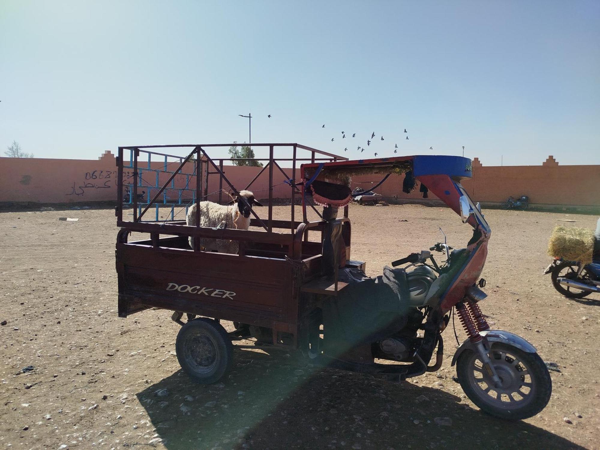 Maison Etoile Du Desert Aït Boukha Buitenkant foto