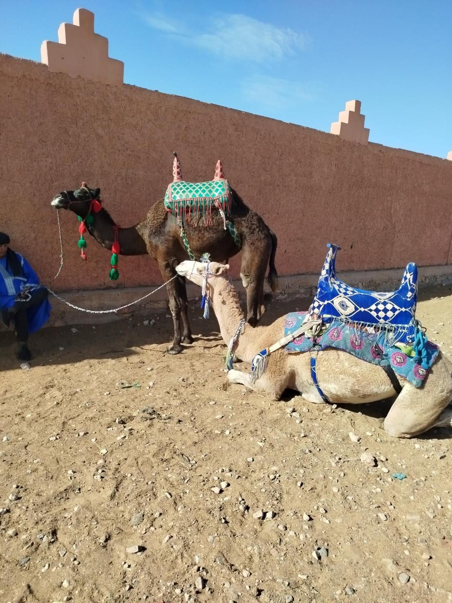 Maison Etoile Du Desert Aït Boukha Buitenkant foto