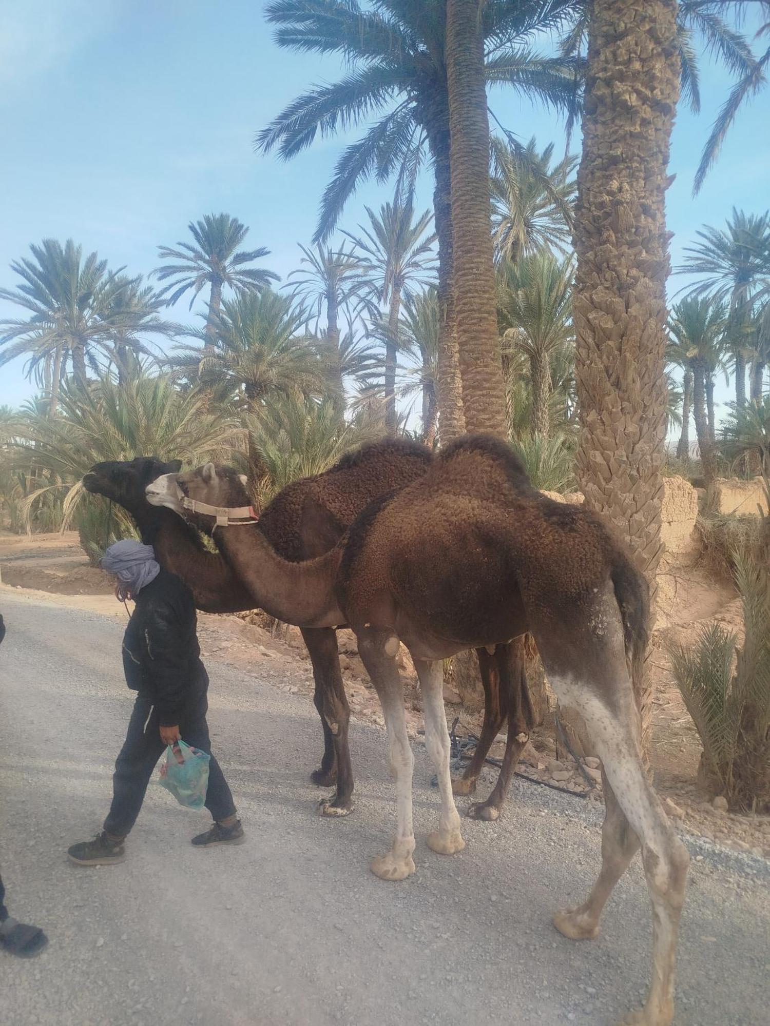 Maison Etoile Du Desert Aït Boukha Buitenkant foto
